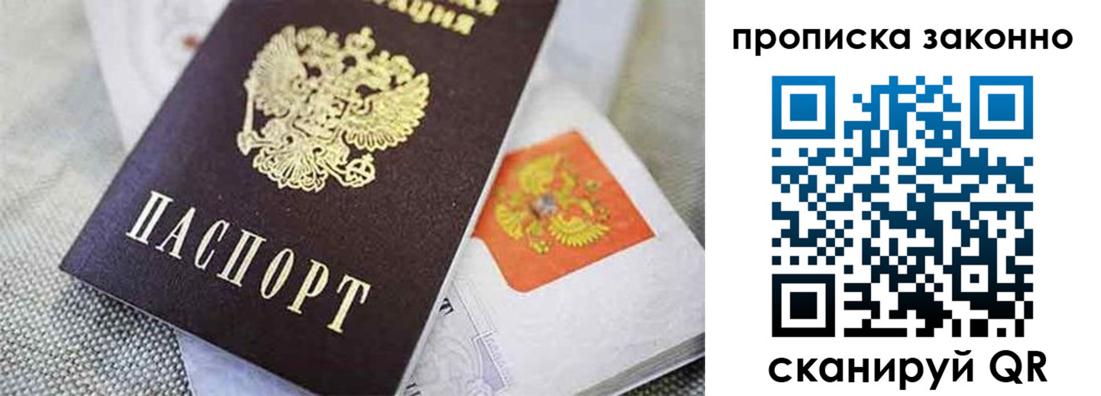 купить прописку в Димитровграде