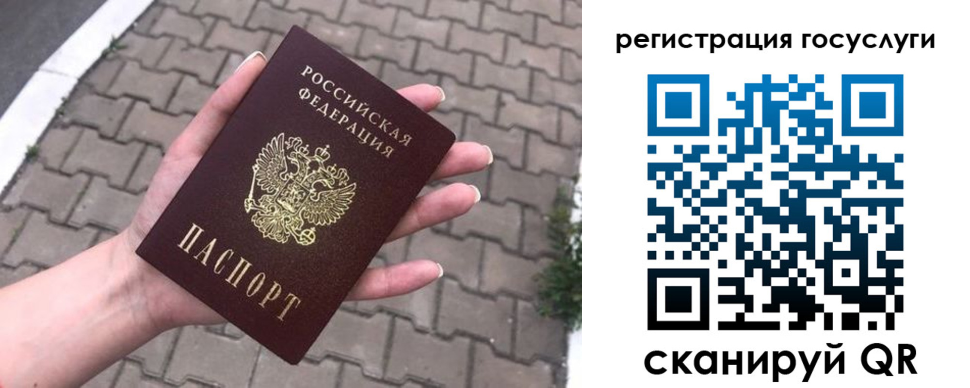 прописка 2025 в Димитровграде